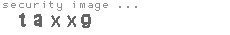 security image