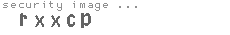 security image