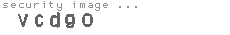 security image