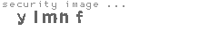 security image